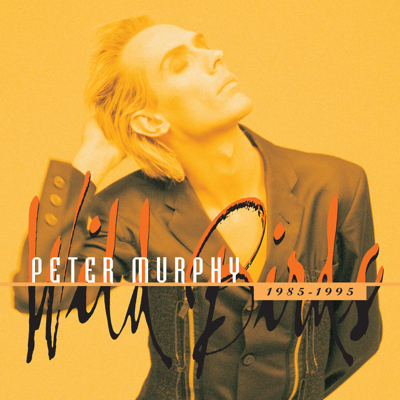 Peter Murphy - Subway